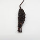 Barclaya longifolia Red bulb