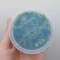 Bacopa salzmannii Purple T/C CUP