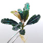 BUCEPHALANDRA SP. RAINBOW MARBLE
