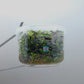 Bacopa salzmannii Purple T/C CUP